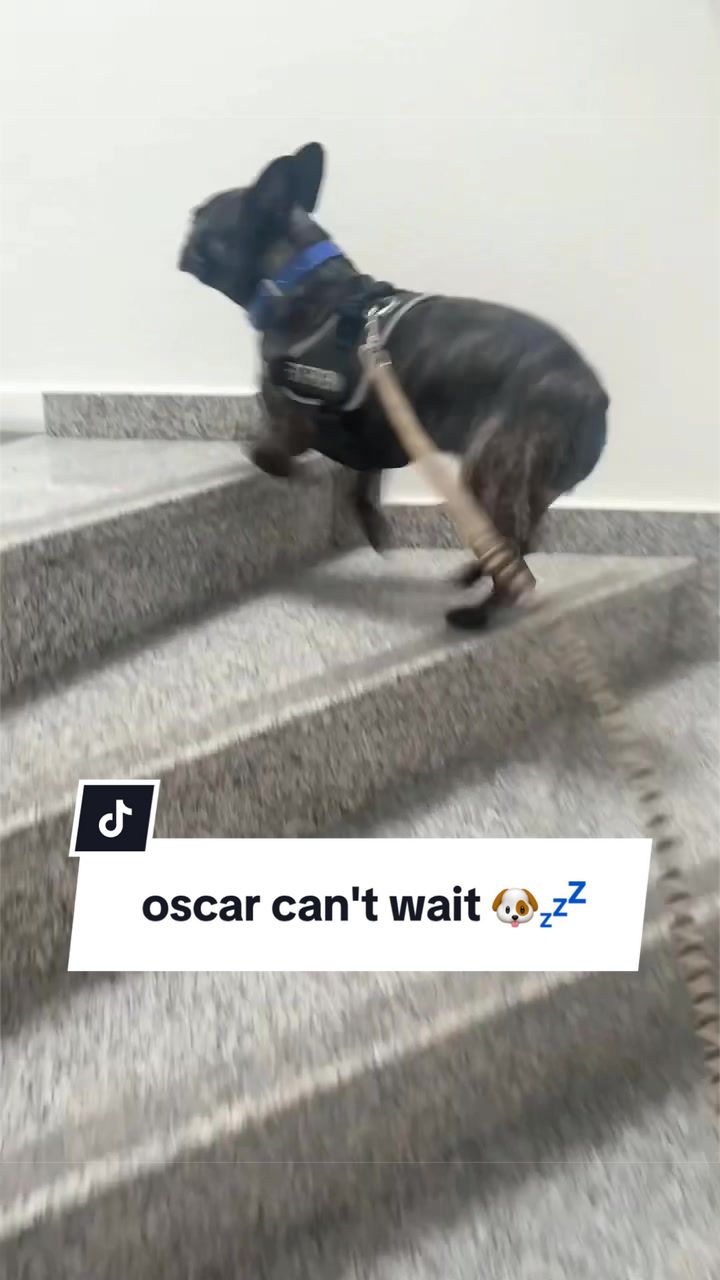 @Oscar ๐๐
๐