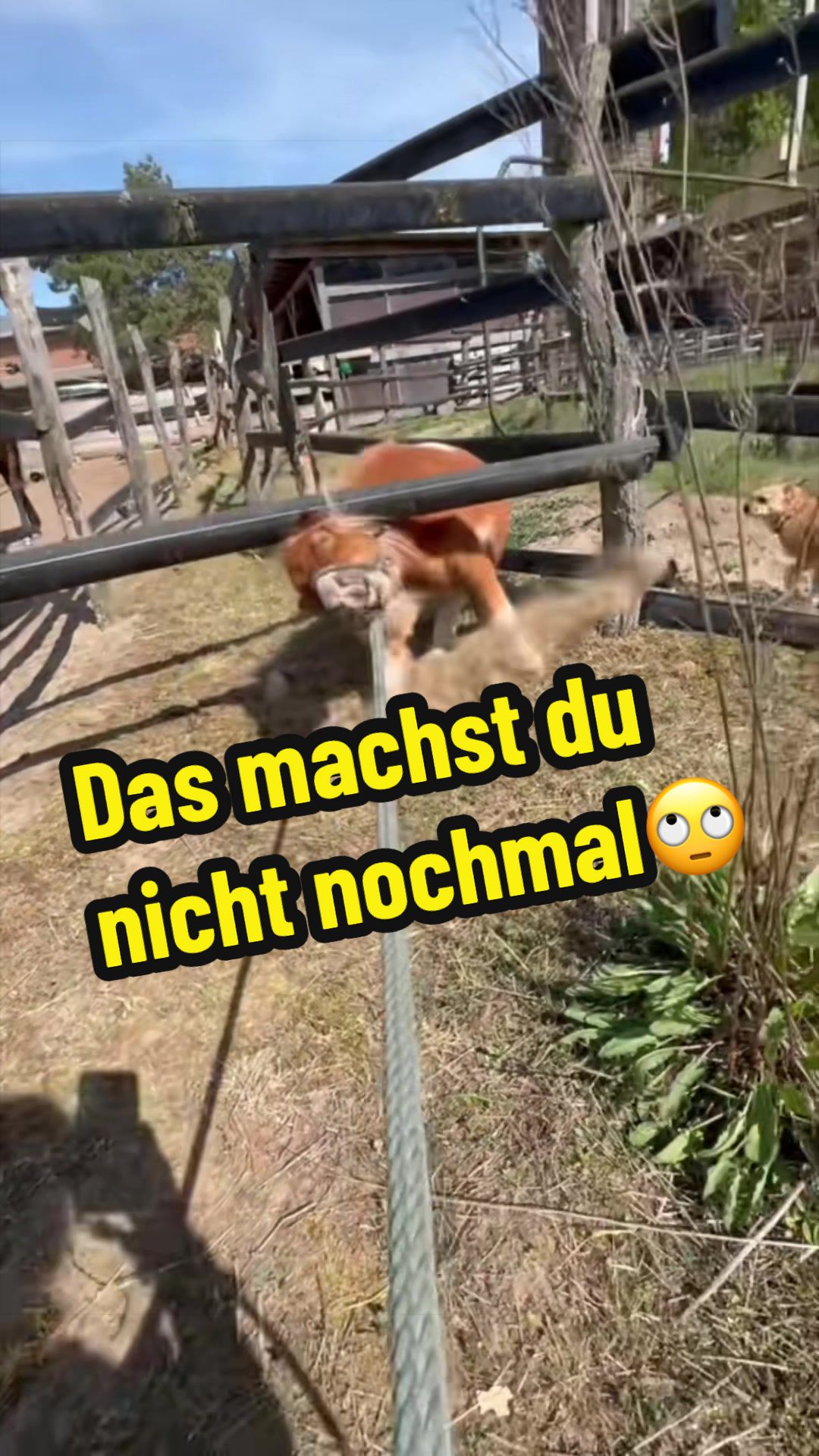 @Edda