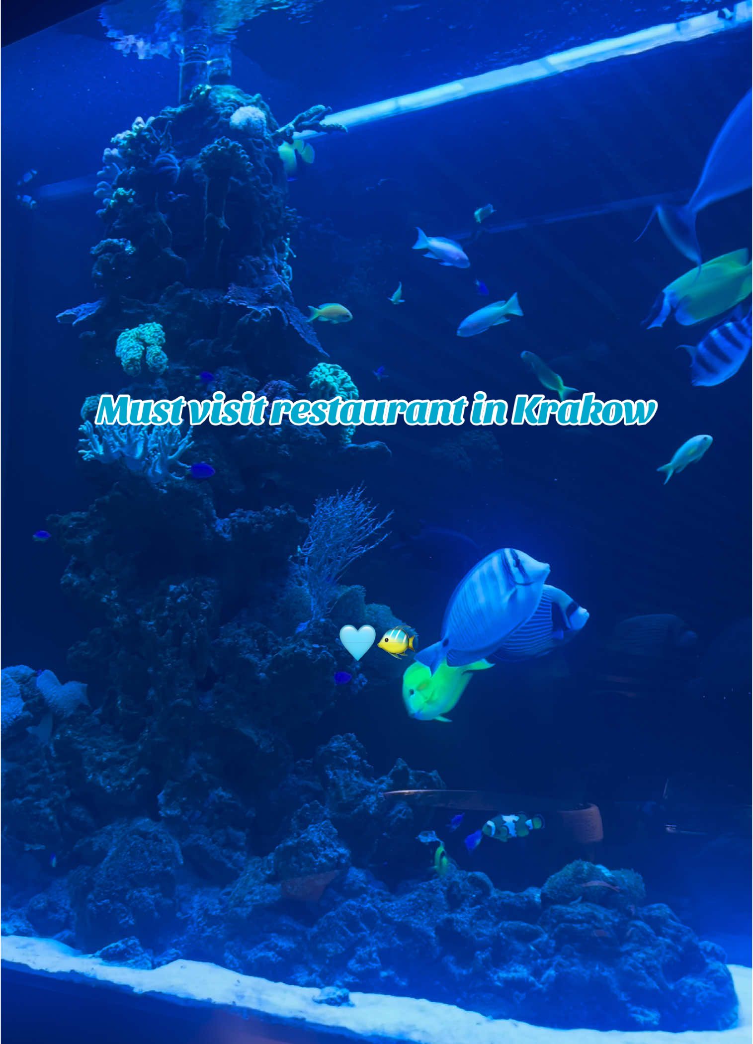 @J & M | Travel Diaries ๐๐ซถ๐ผ