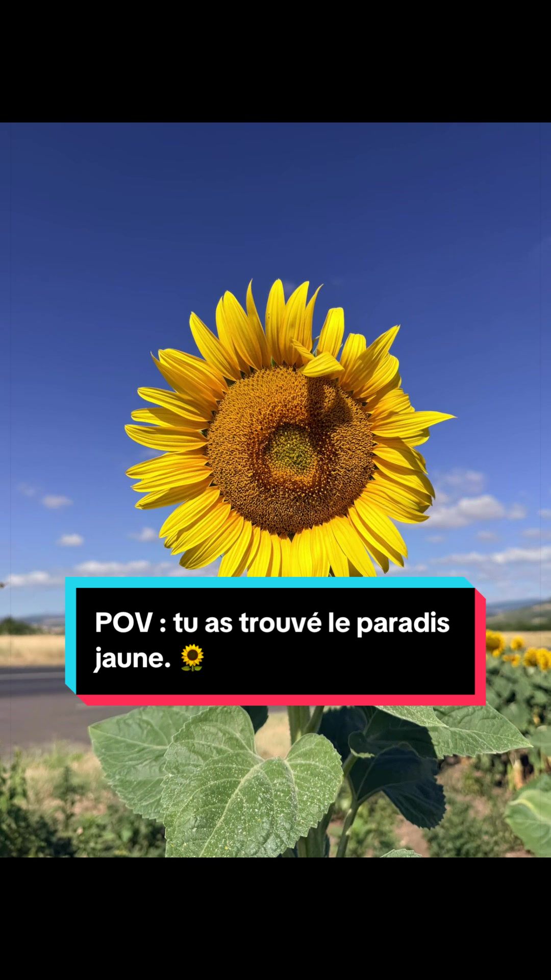 @J&eacute;r&eacute;my 🌎