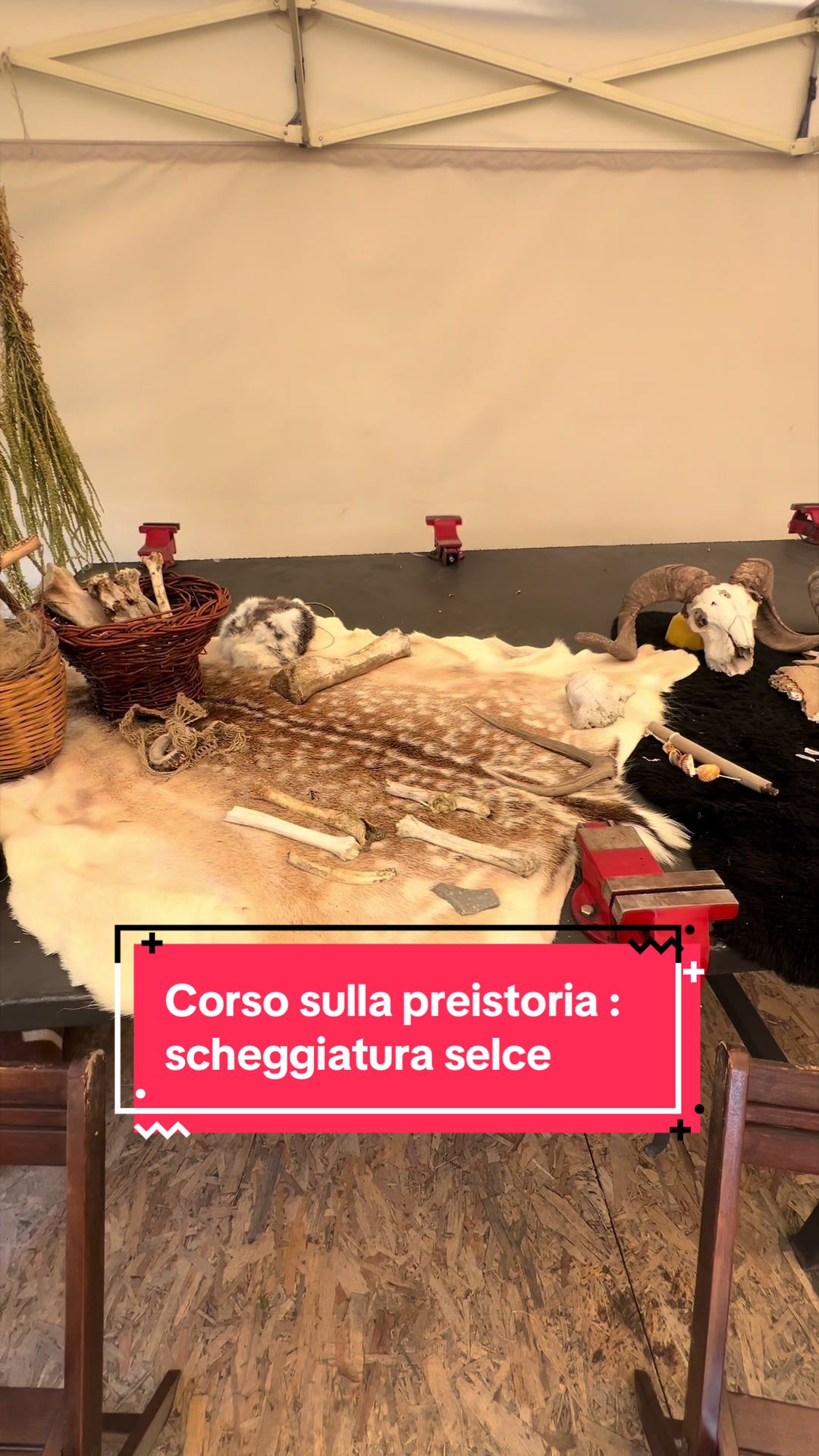 @Daniele