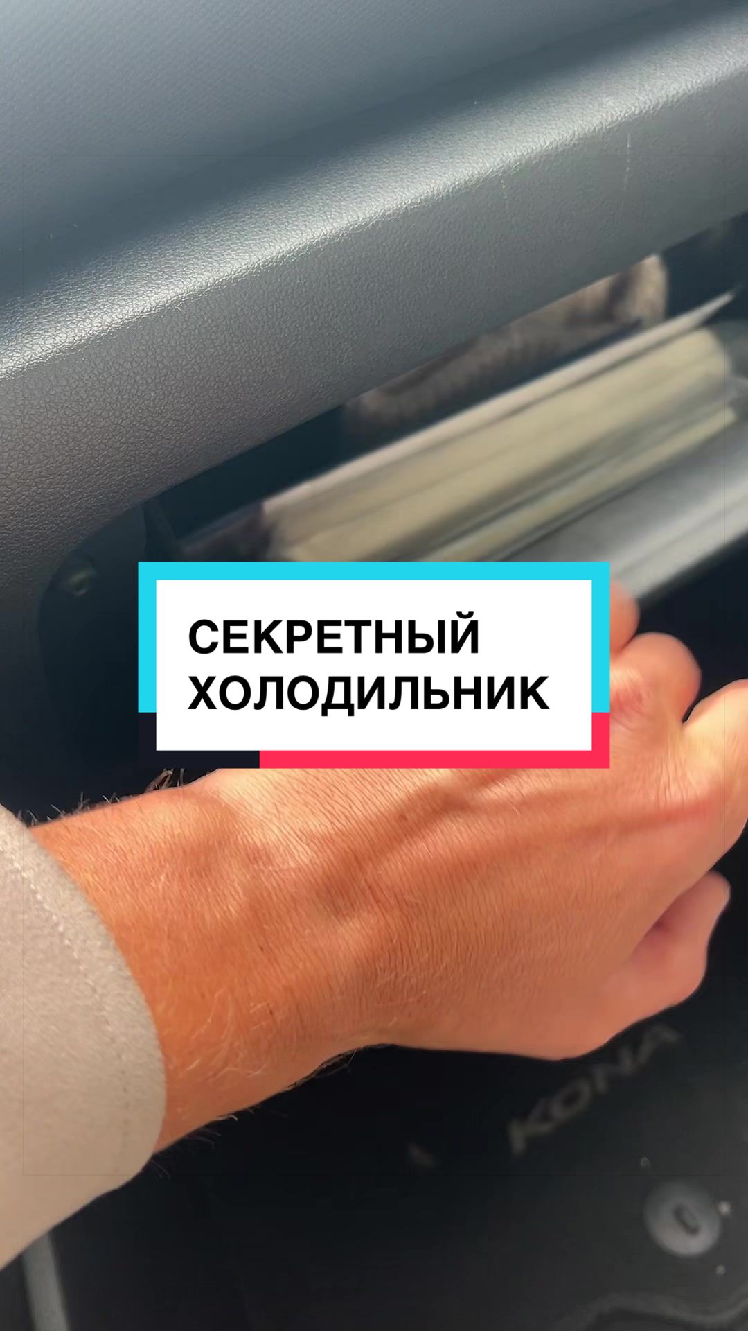 @laifhak_mozgi