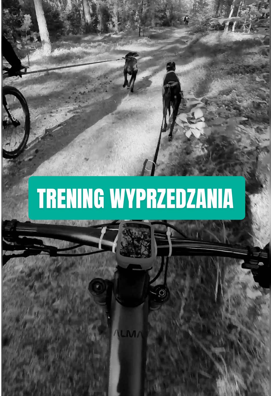 @Agnieszka Ignaszak bikejoring