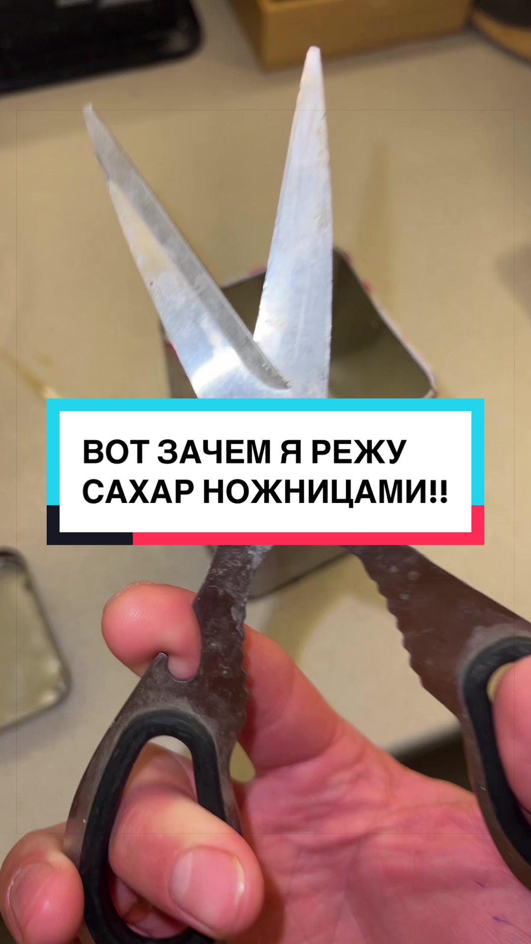 @laifhak_mozgi