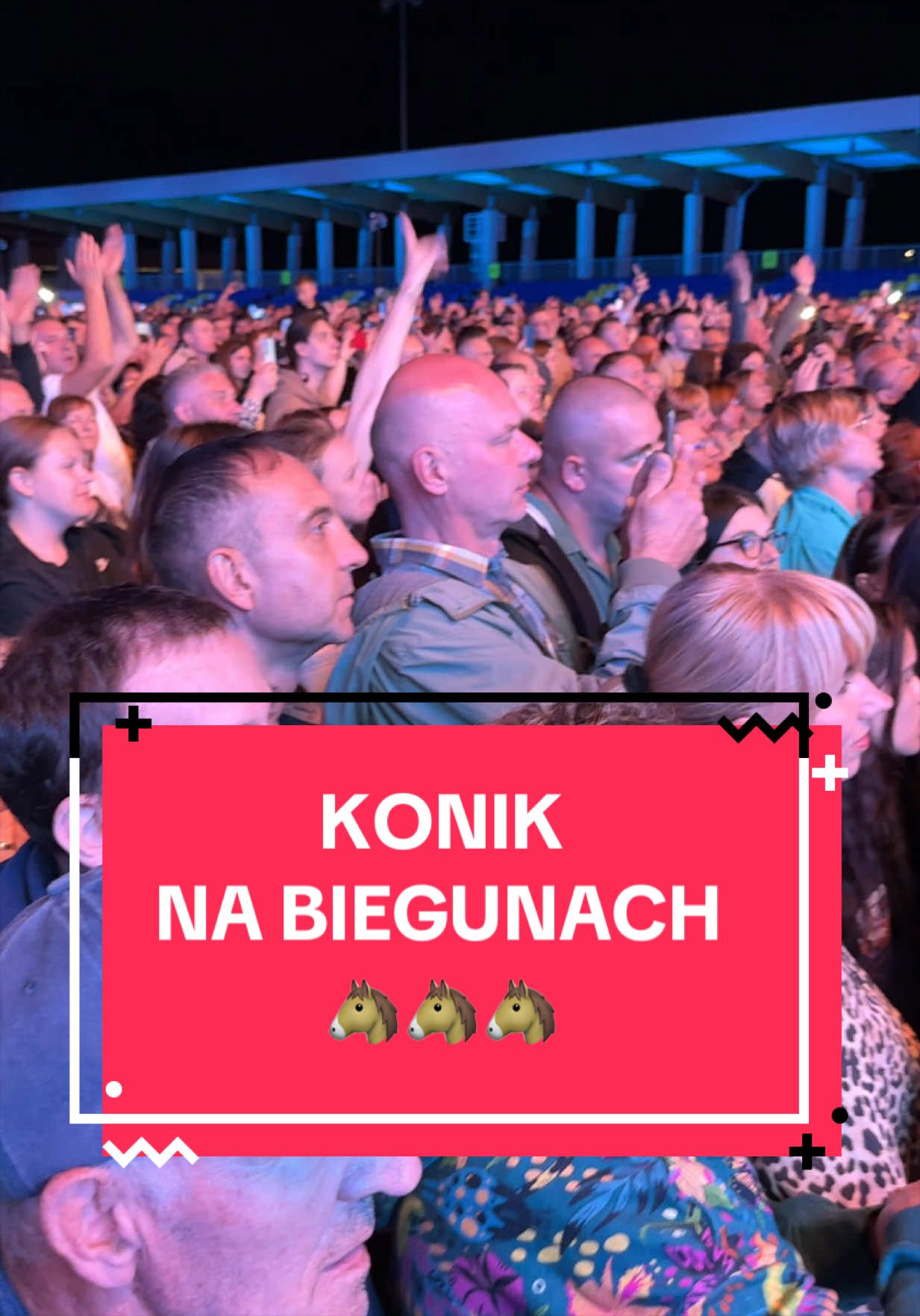 @Twoja Strona Miasta