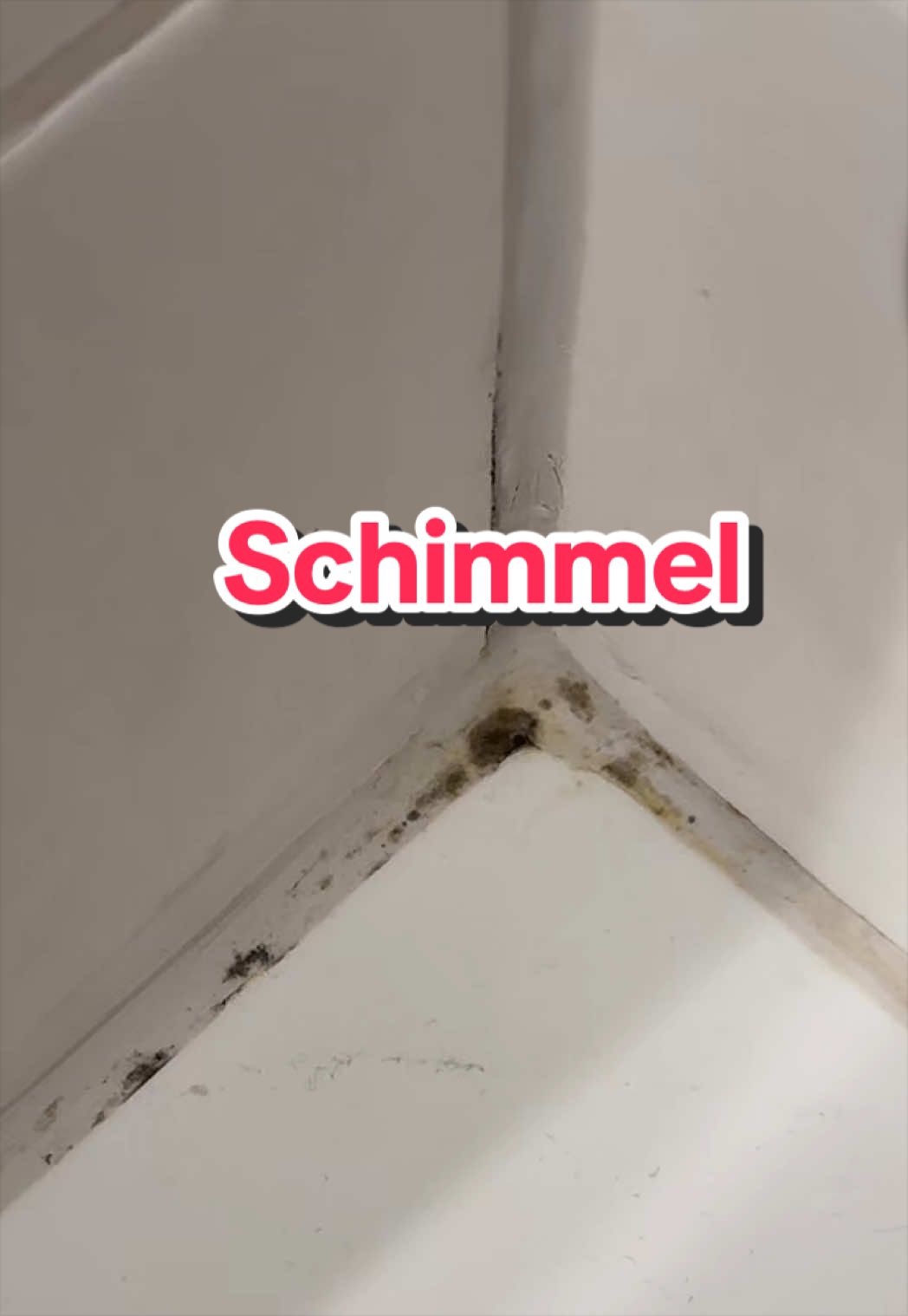 @mrsninachartier
