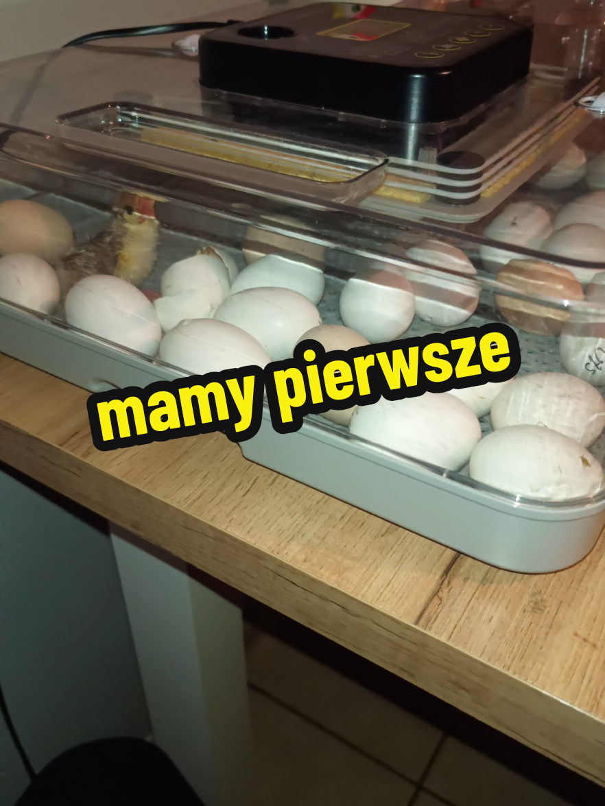 @Marcin ogrodnik