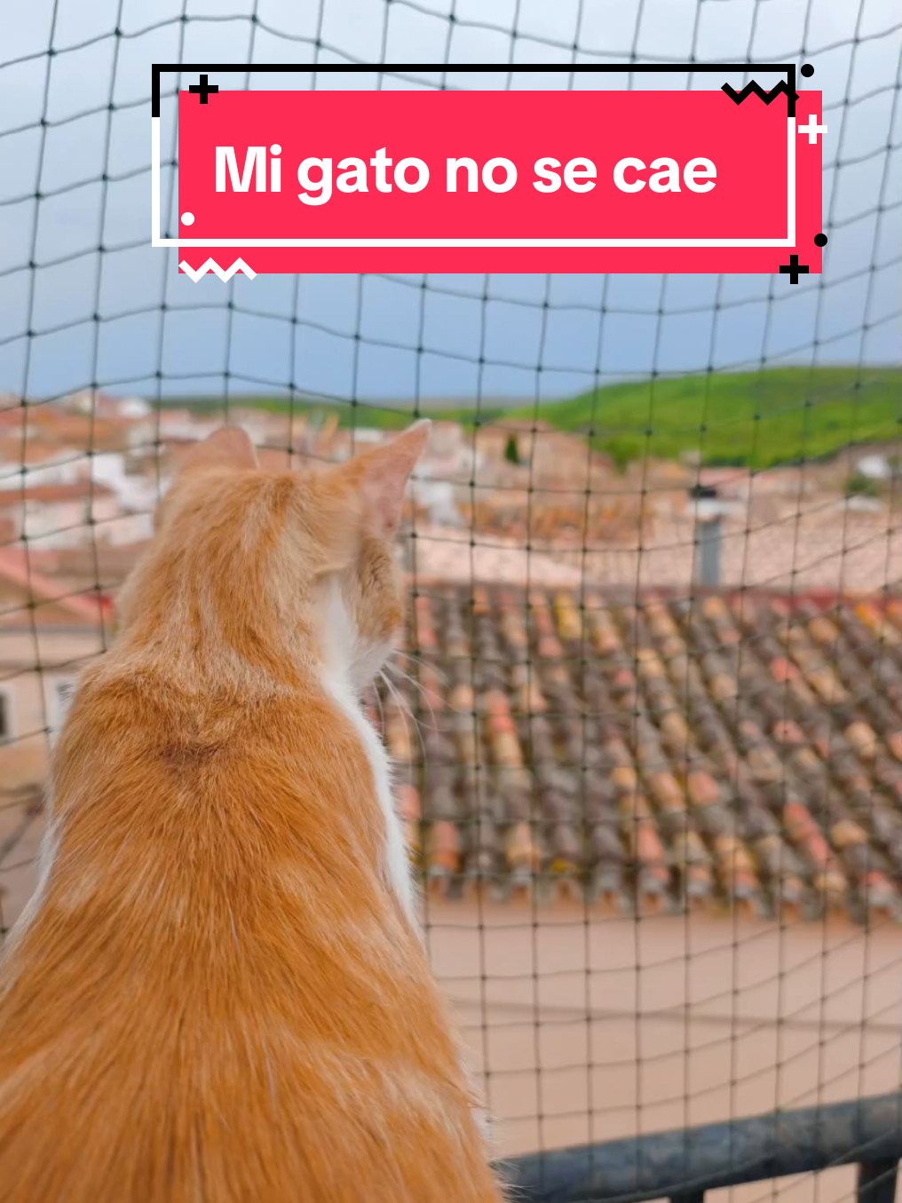 @enGatadas