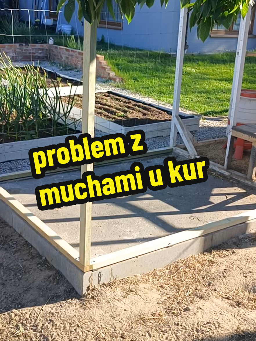 @Marcin ogrodnik
