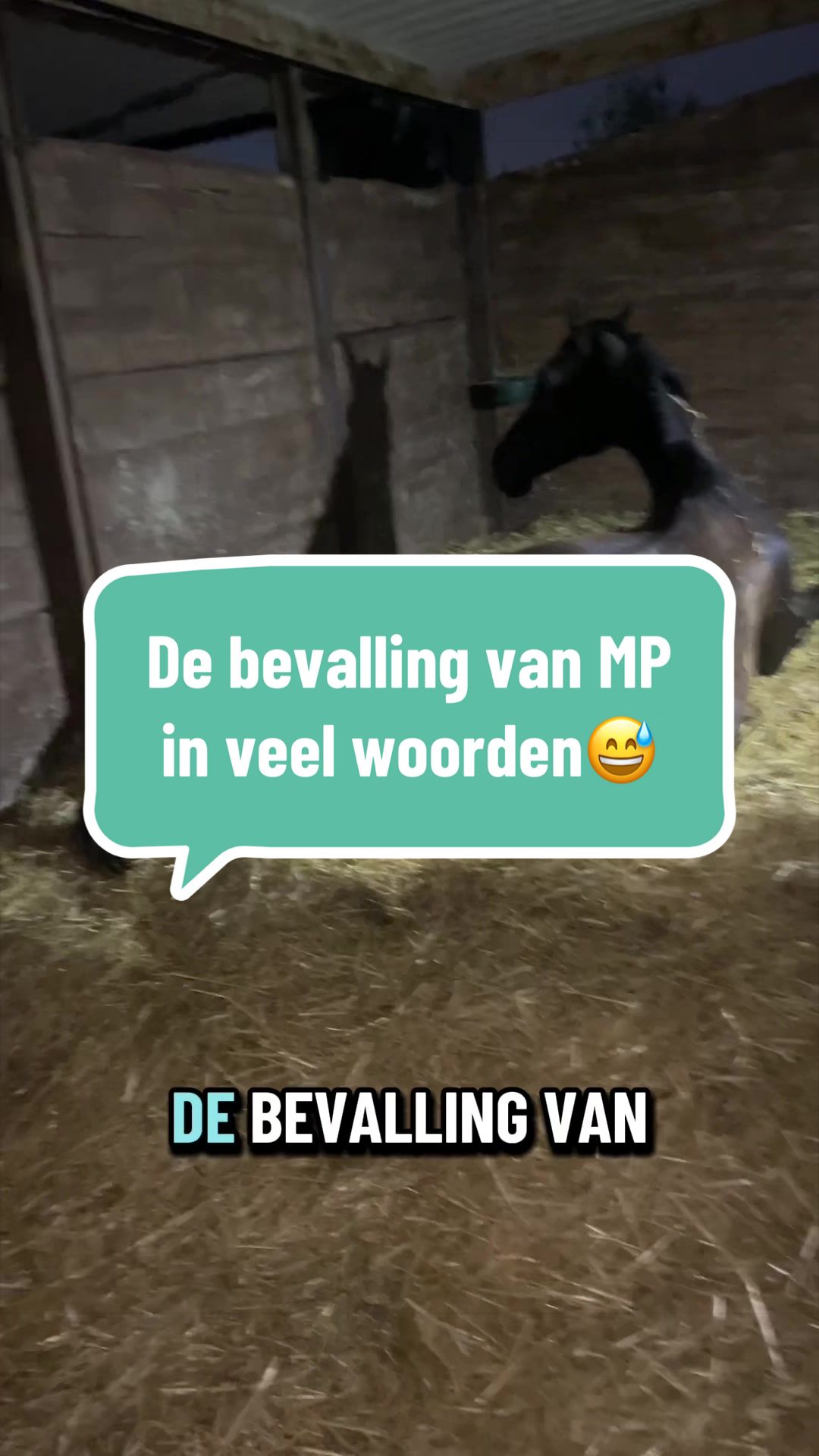 @Liesbeth-EquiViento🐴🇪🇸