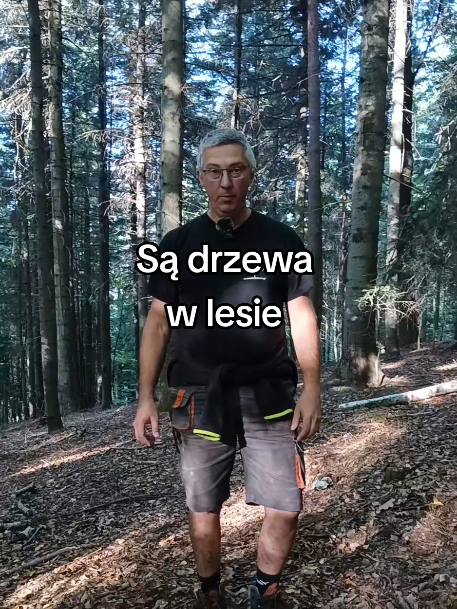 @Kaflowe Kominki