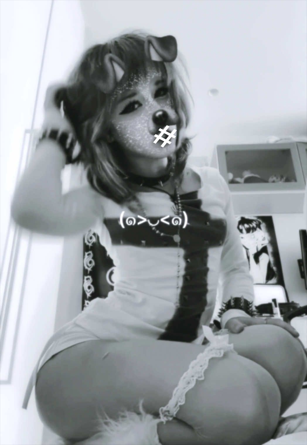 @𐔌. 𝔎𝔞𝔦𝔨𝔬 ♱ ꒰ ルシア ꒱
