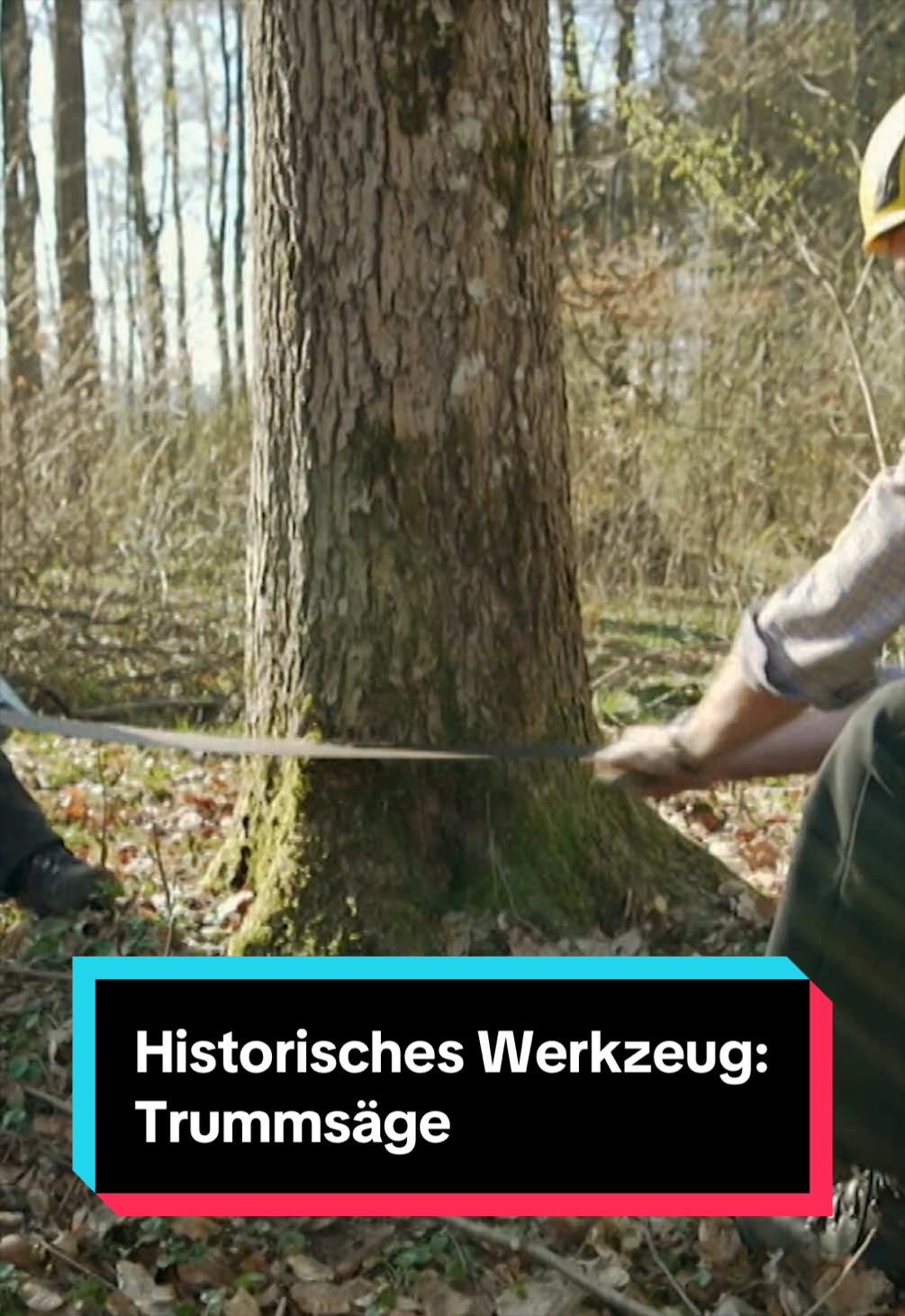 @Handwerkskunst vom SWR