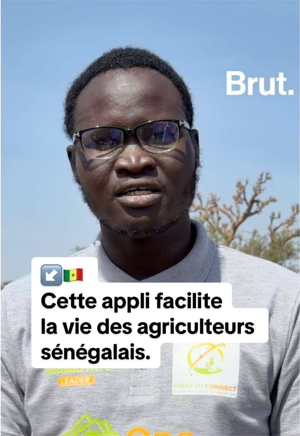 @Brut. Afrique