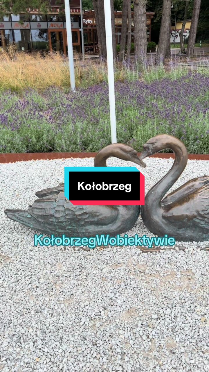 @KolobrzegWobiektywie