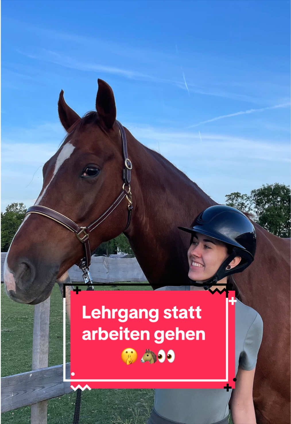 @Elisa & Samba ♡