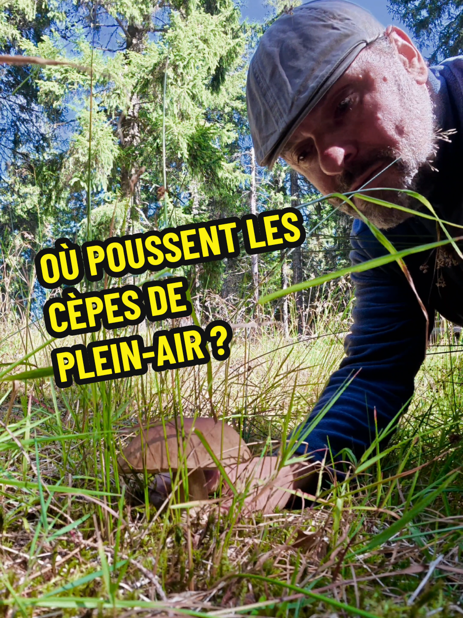 @Dan 🍄🟫 Le Champologue