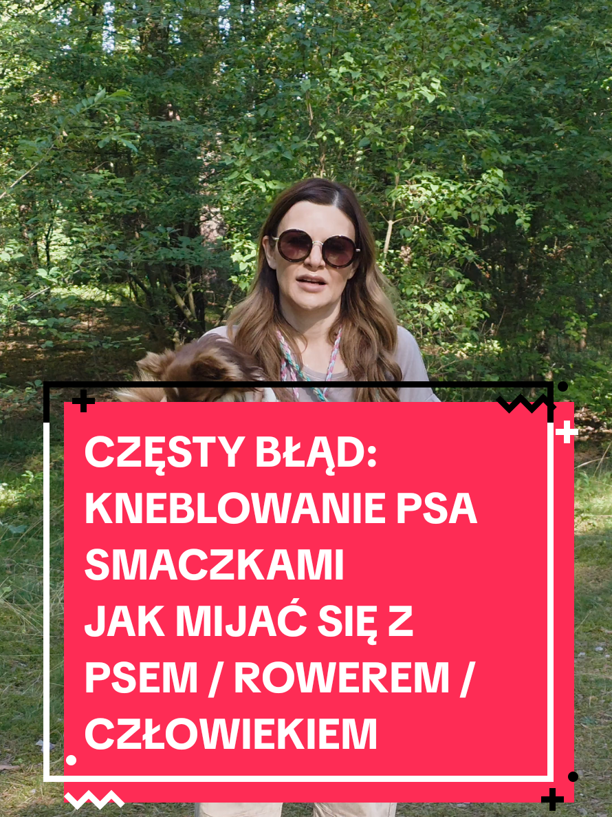 @Chihuahua uzależnia