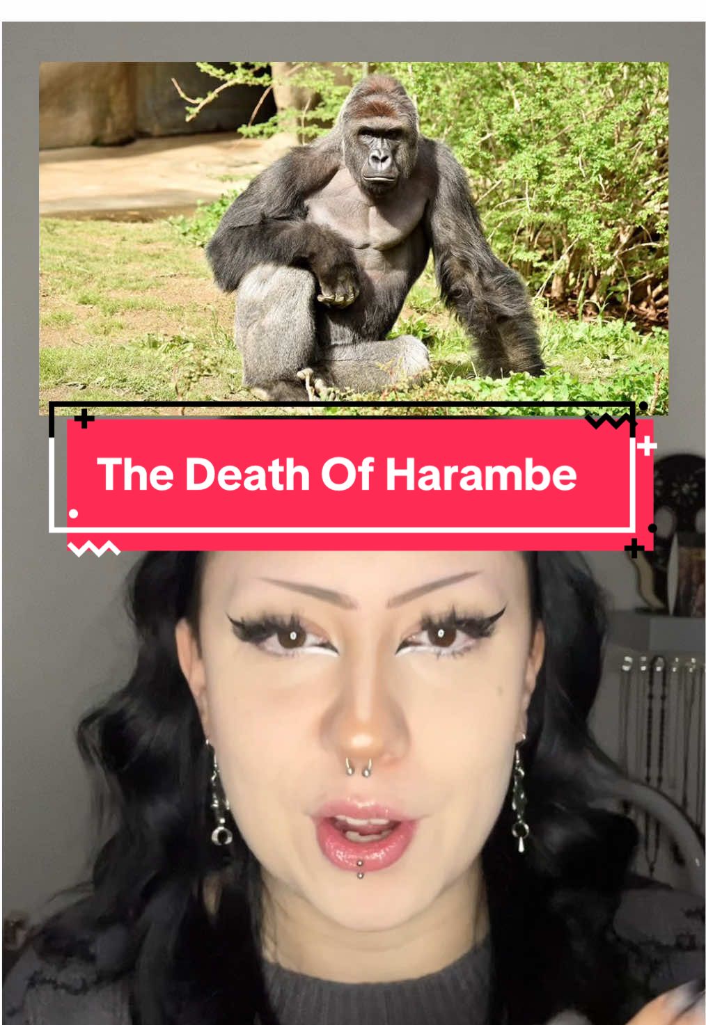 @D0l1face3
