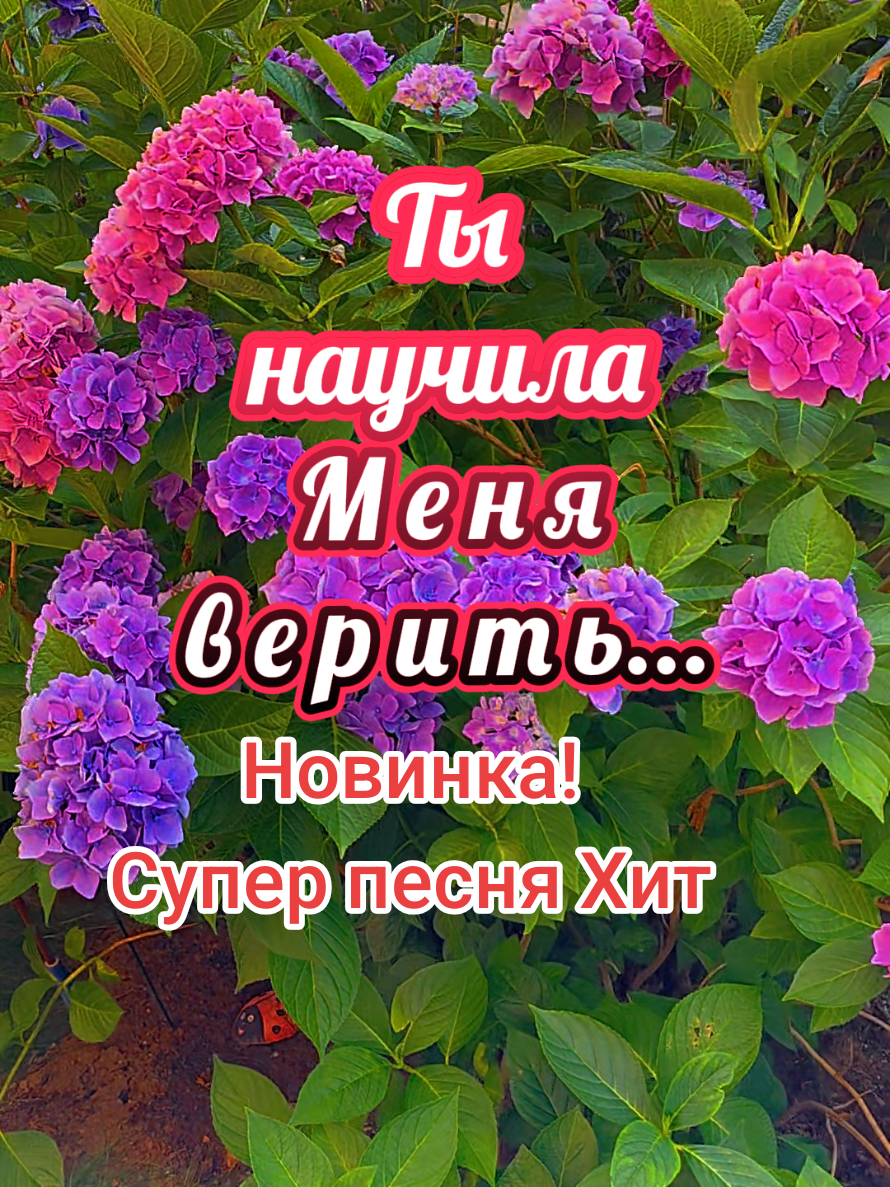 @Kаtharina