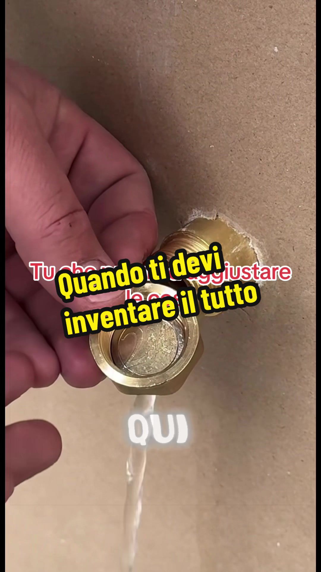 @Alessandro Cuomo ♌️
