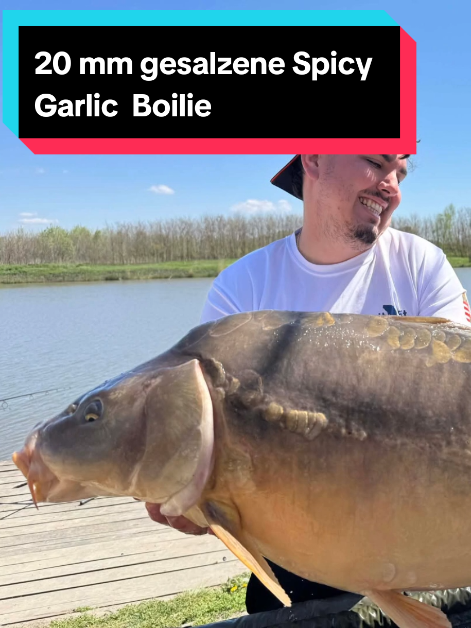 @Bait Bait Germany