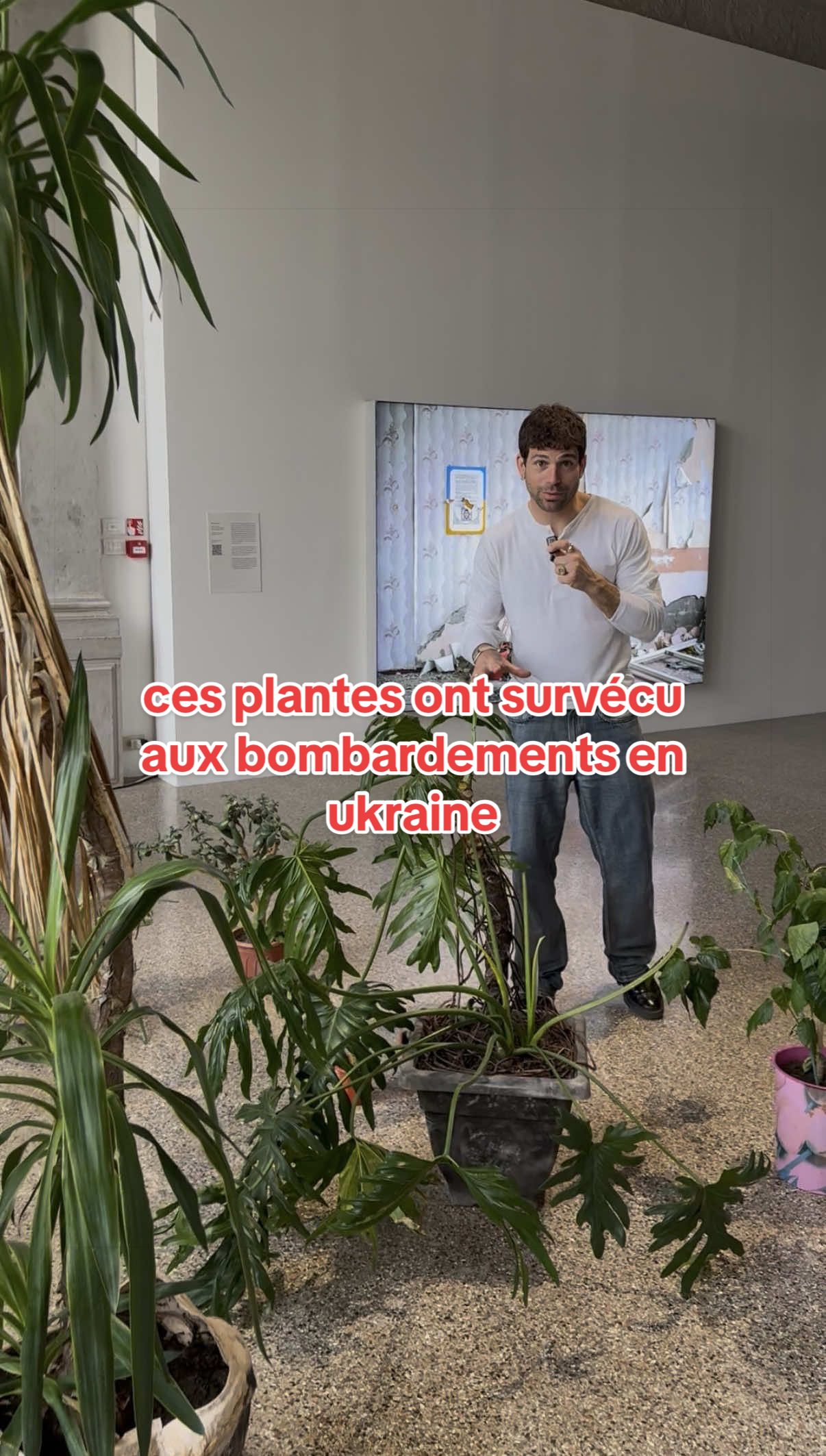 @CUR8 — Arthur Hadade