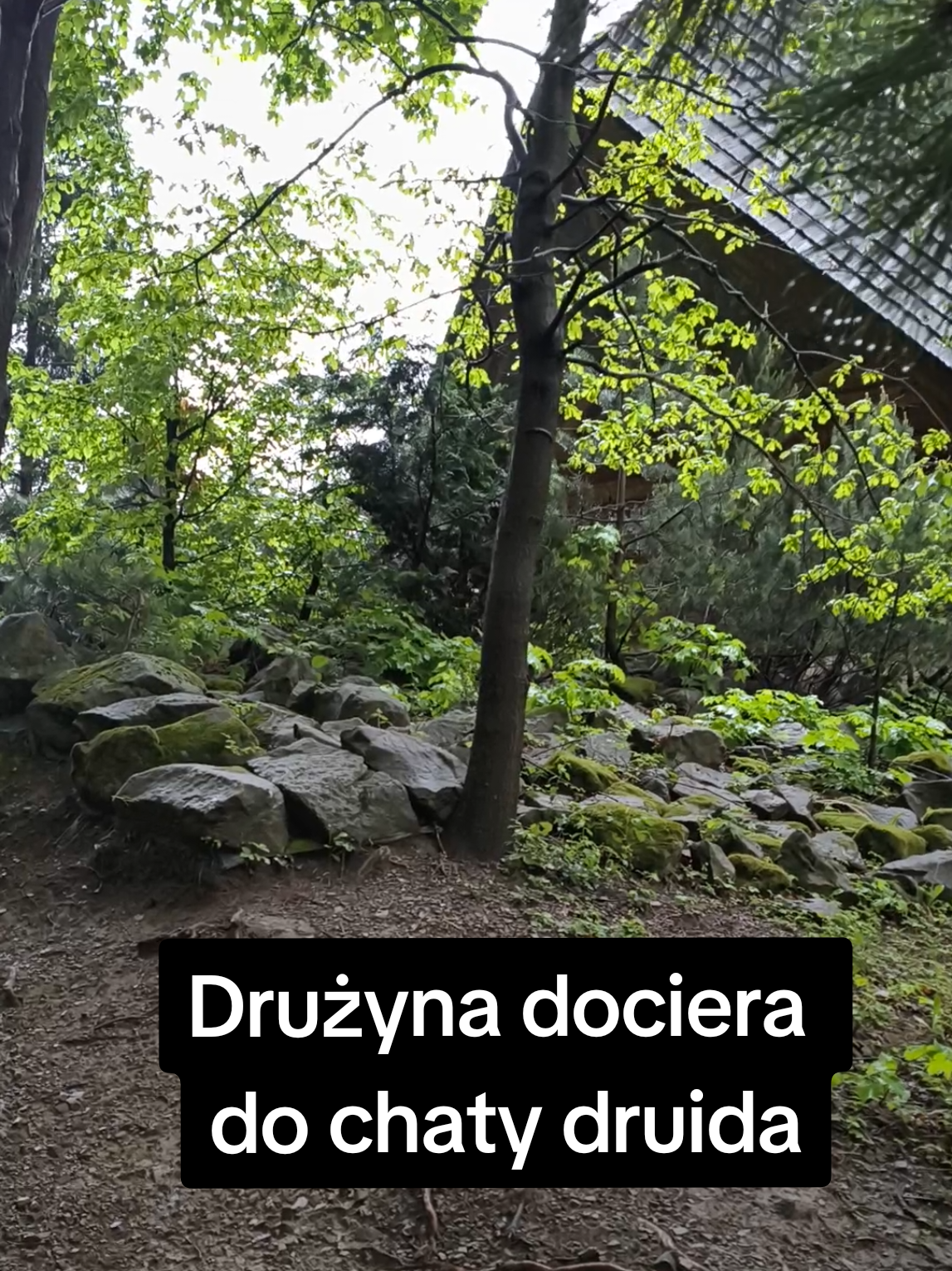 @m&oacute;l erpegowy