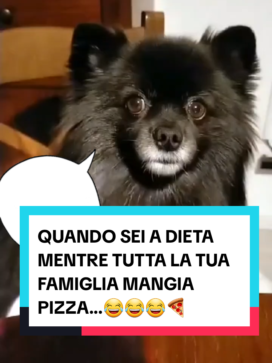 @Rita Tartaria