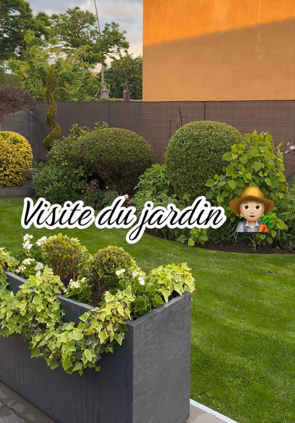 @Jardin de Rémi