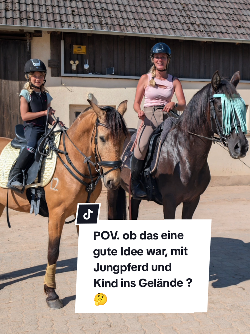 @Caro_Sofie_Offenstallliebe