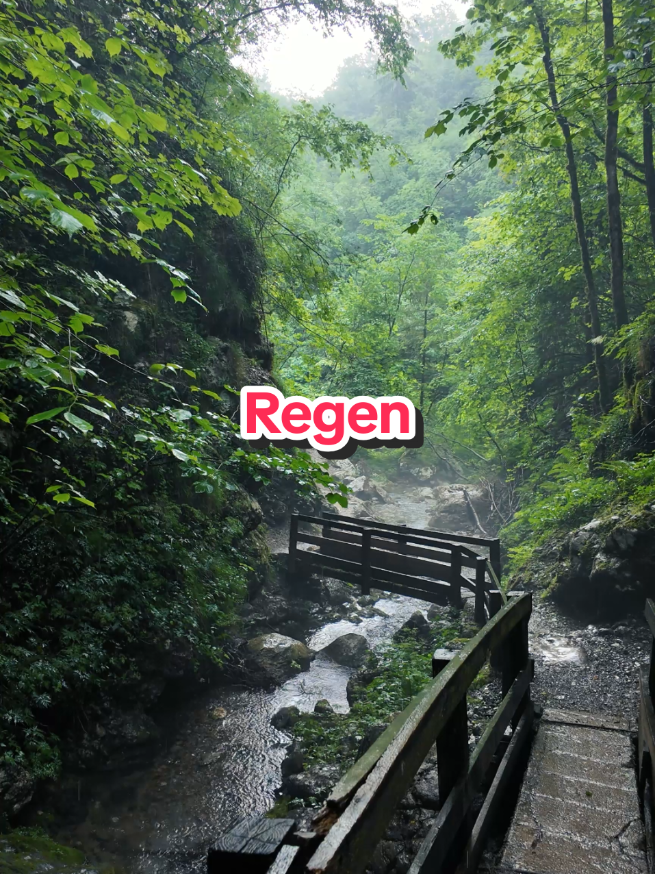 @Am Puls der Natur