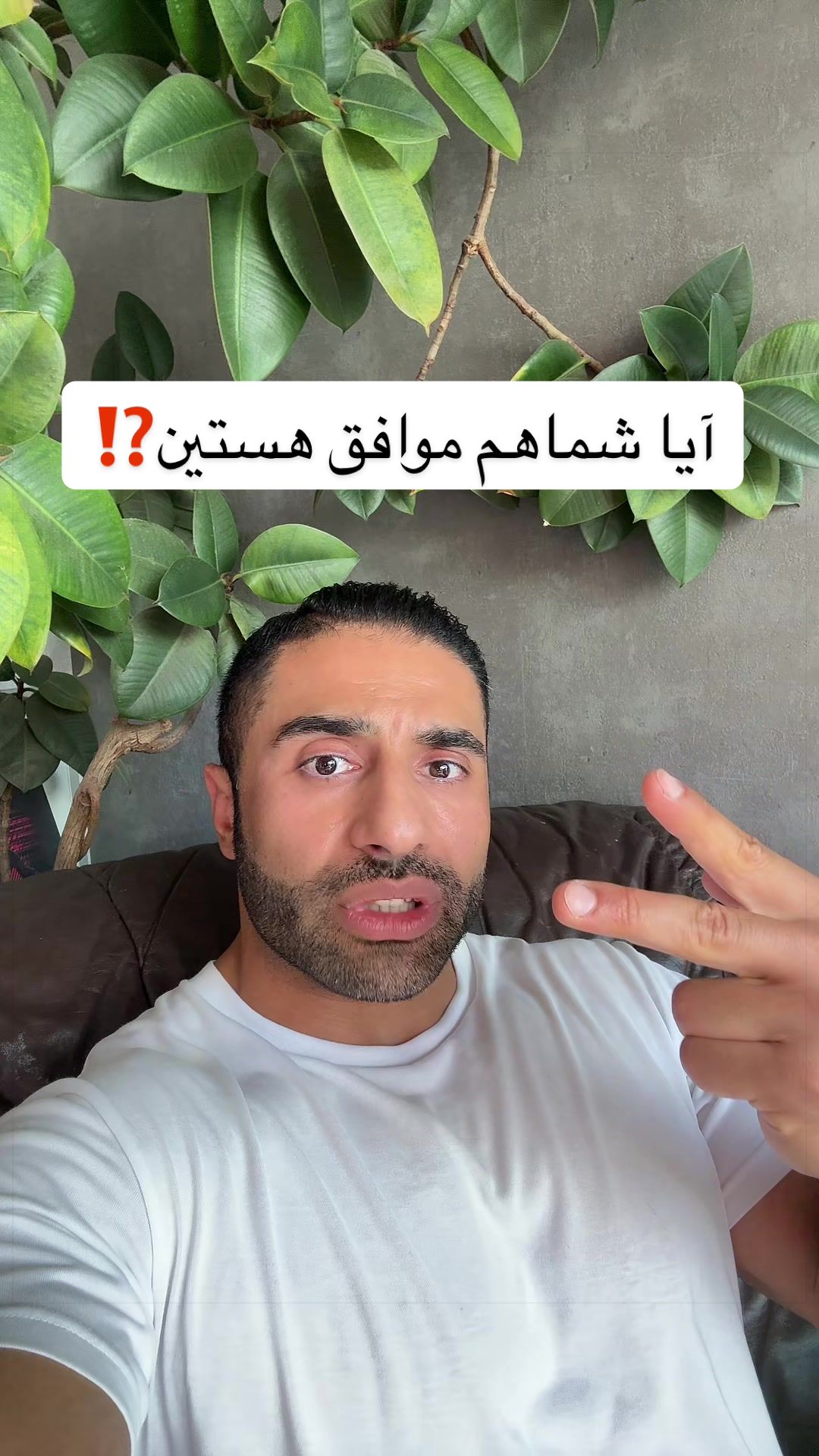 @Bodylikeomid