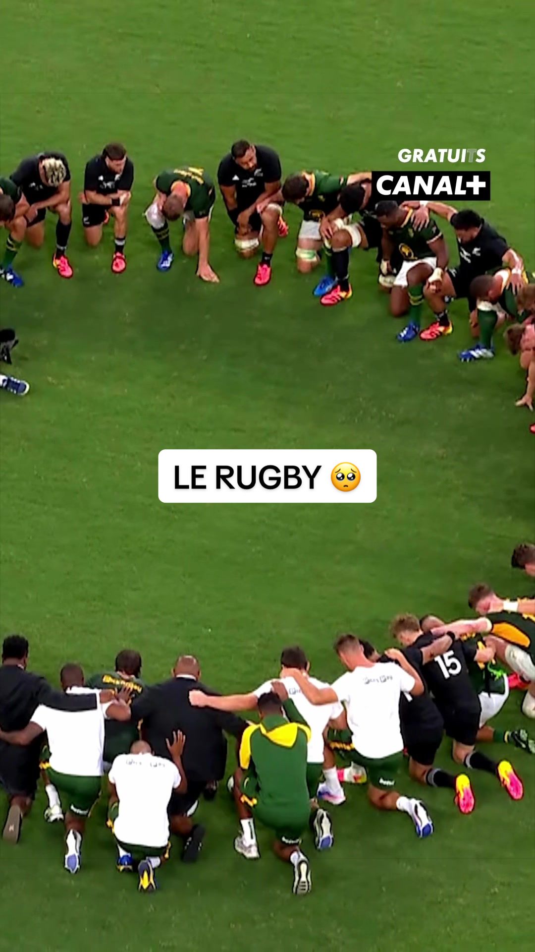 @canalplusrugby