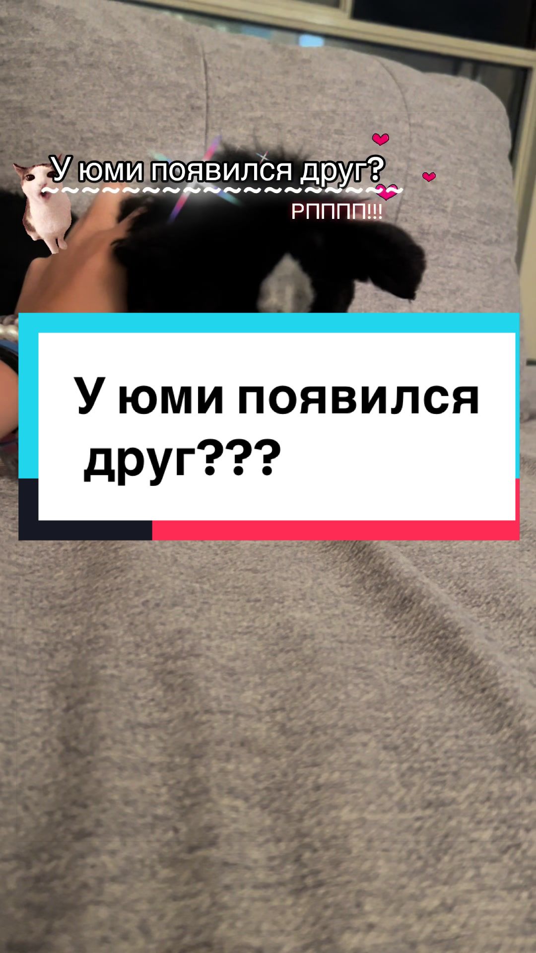 @🍒»𝔘𝔖𝔬𝔪𝔢𝔩_ESAS!⛓(Пдб)«🌇