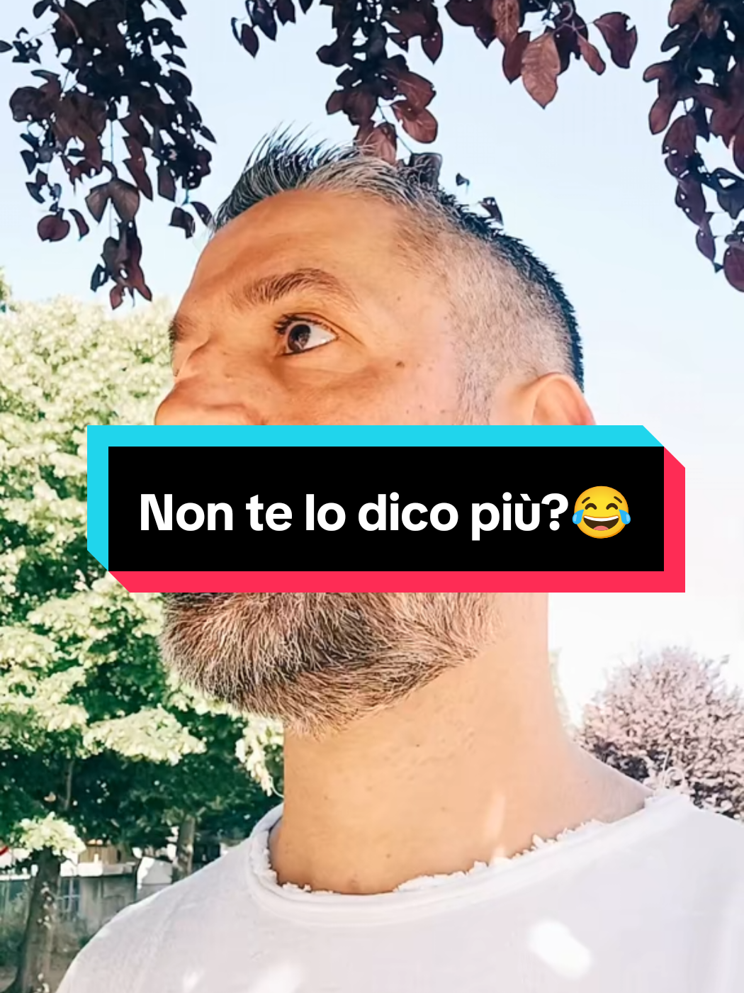 @Manuelnapo84