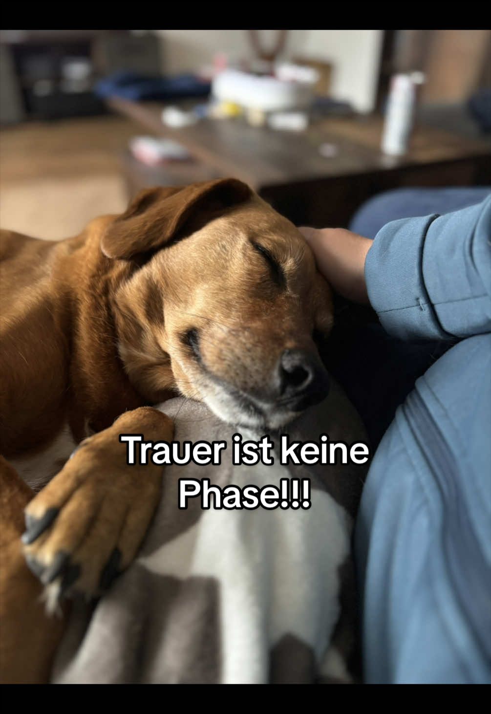 @einfach.nur.elly