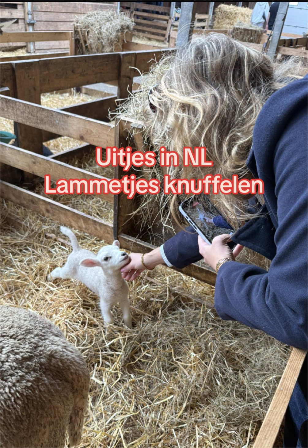 @Irene de Wit
