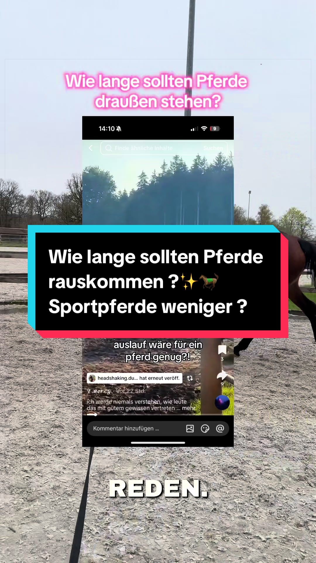 @Leonie Pander