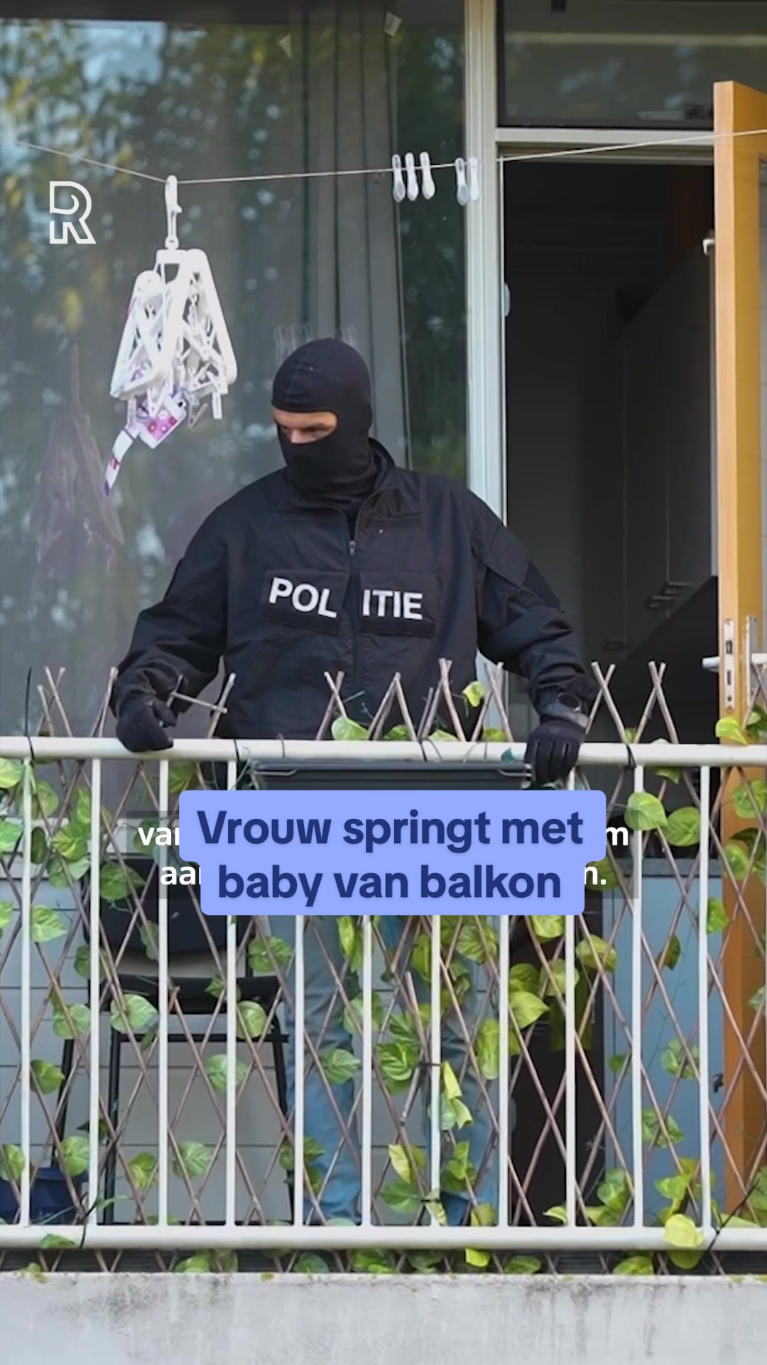 @RIJNMOND