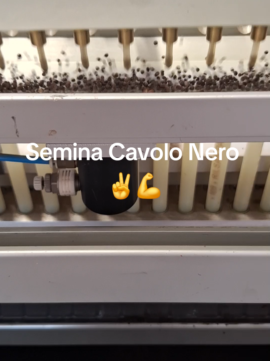 @Alessio Strenghetto