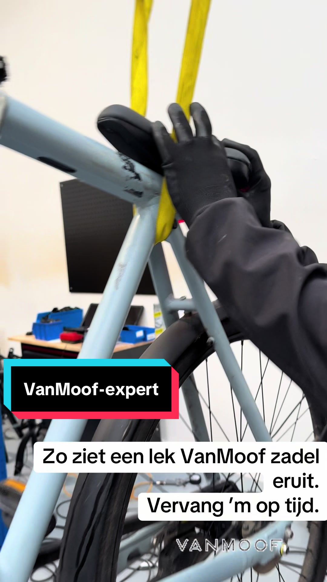 @WielenWacht