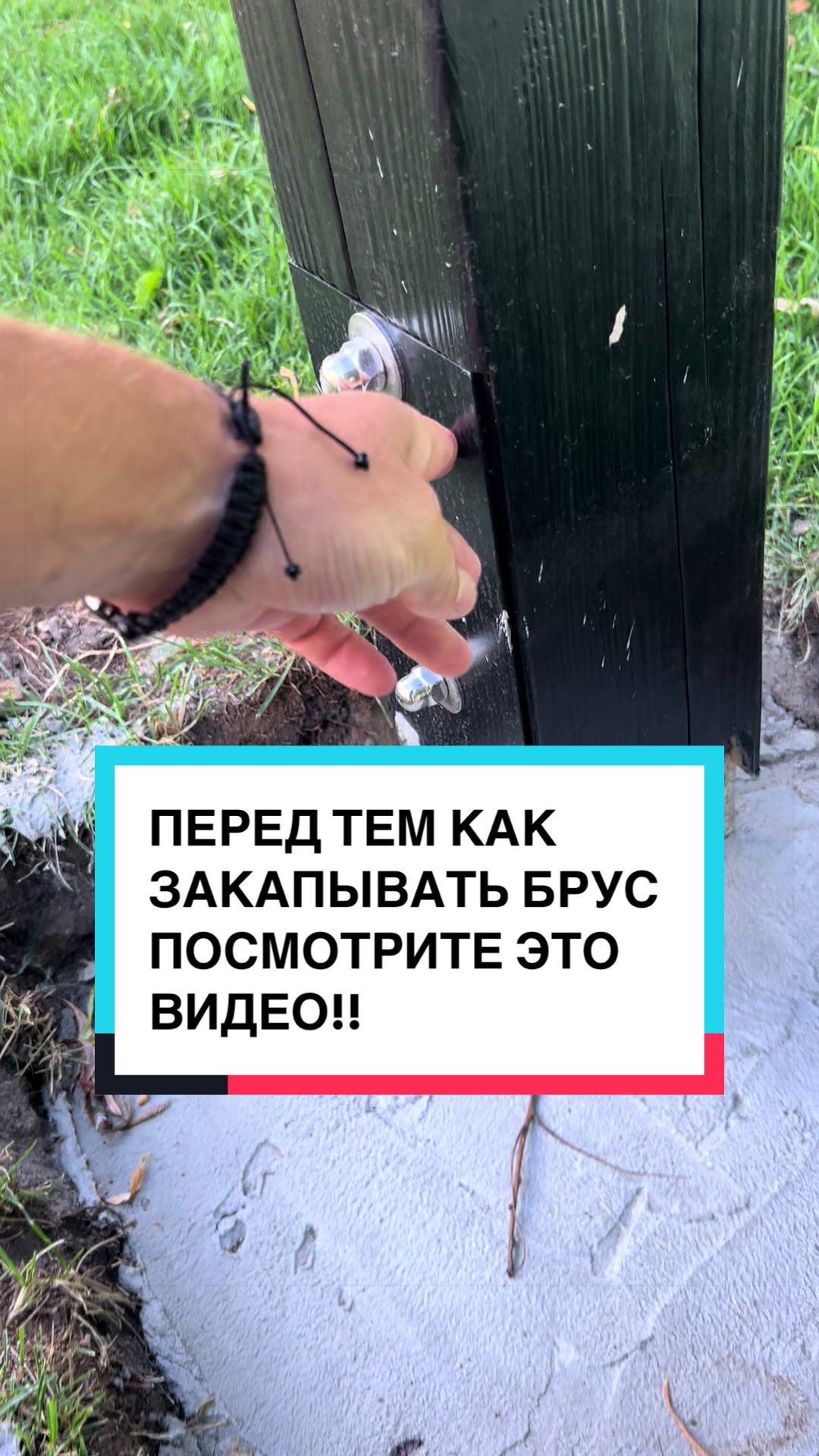 @laifhak_mozgi