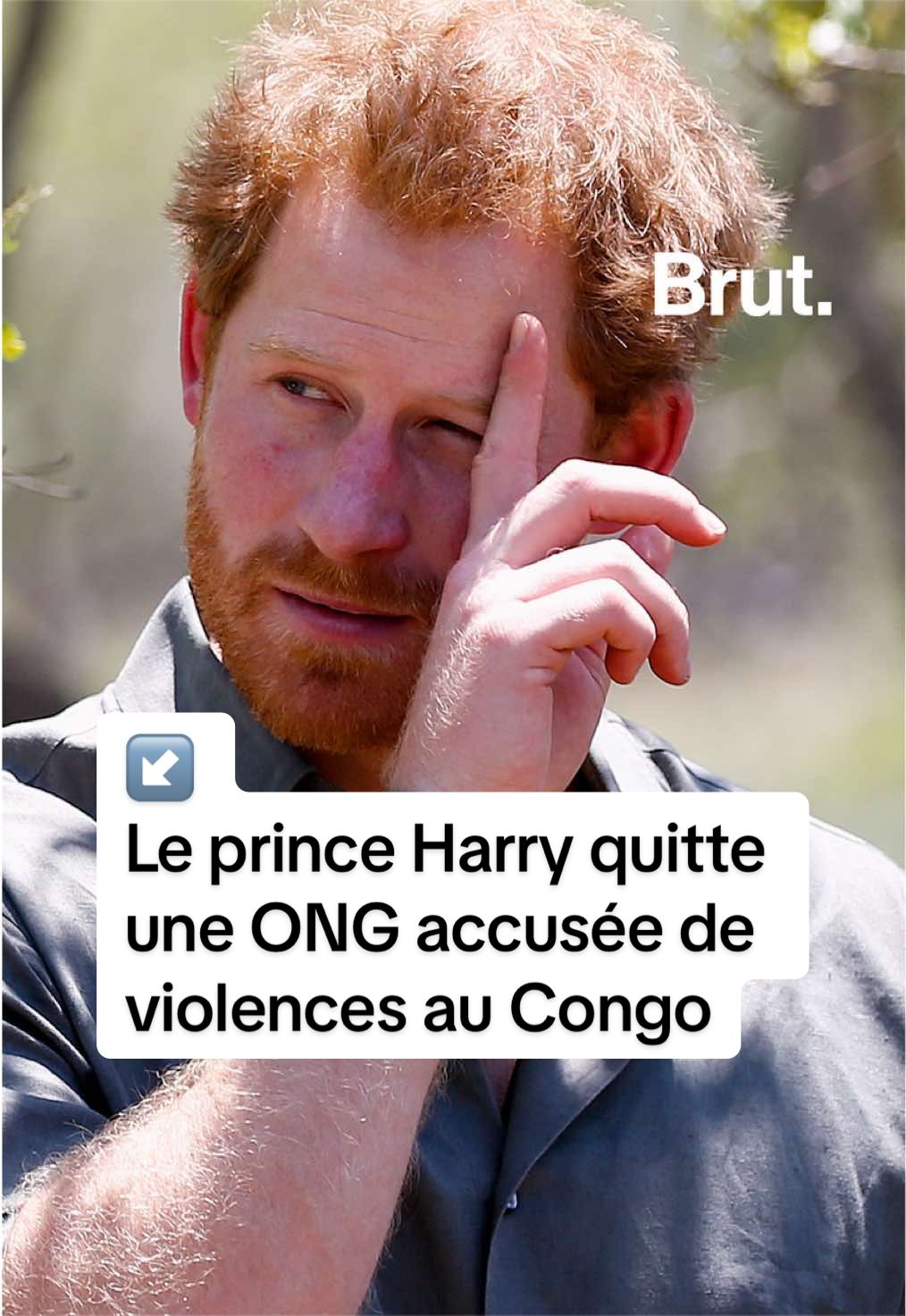 @Brut. Afrique
