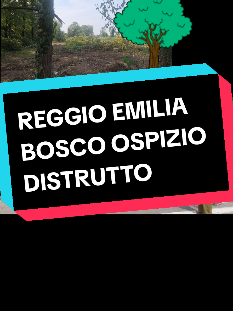 @Cristian Carbognani