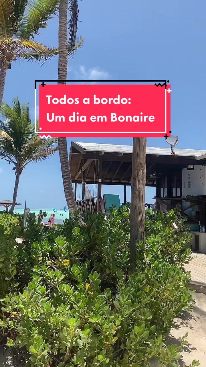 @Matilde Anjos