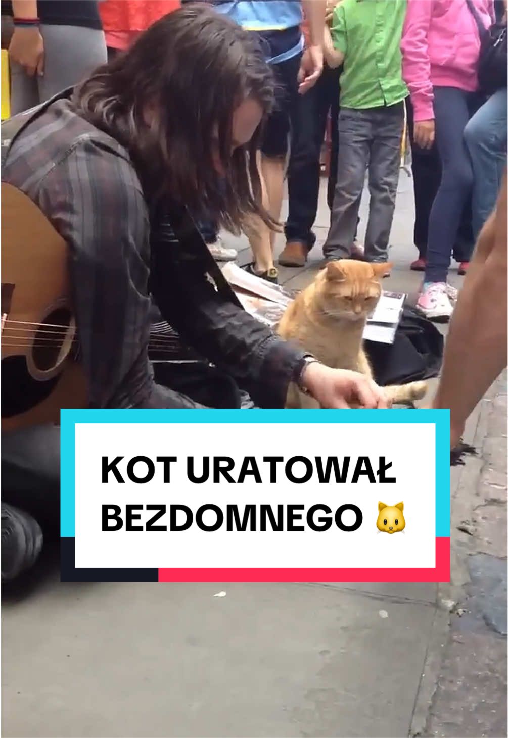 @pandawojtekyt