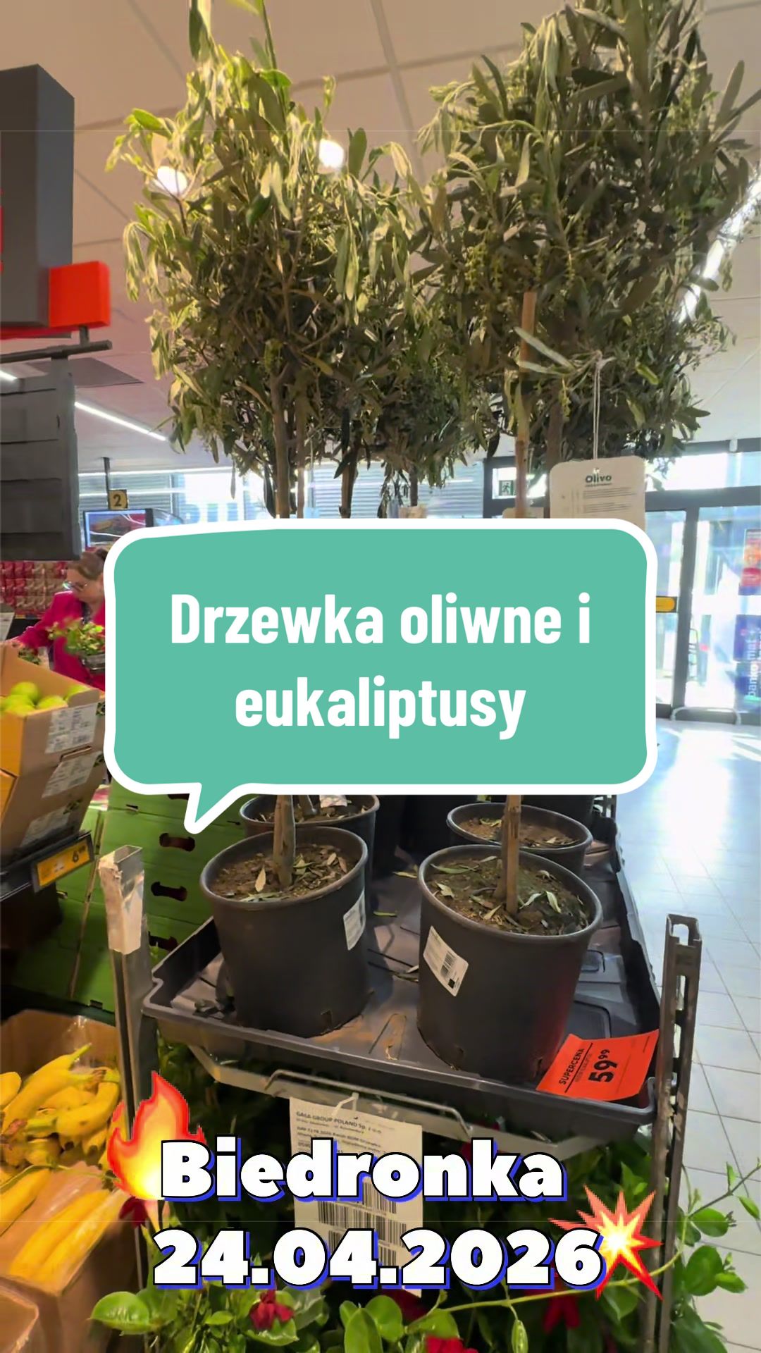 @maciej.plants