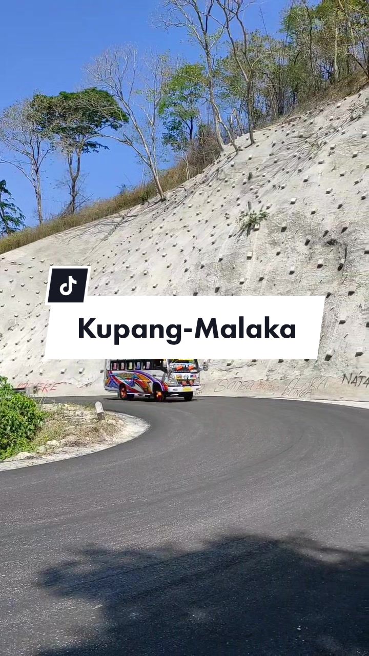 @timor manise