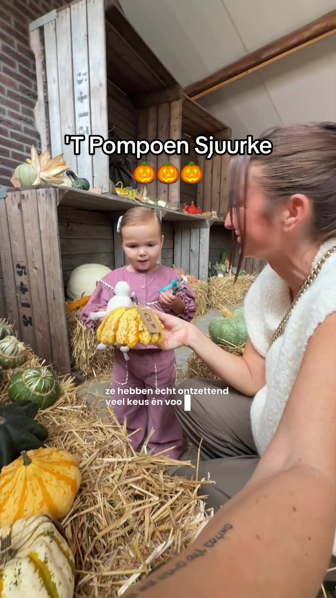 @Rachel Rutjens